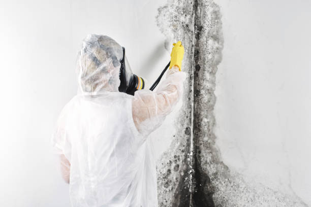 Step-by-Step Water Damage Restoration Procedure